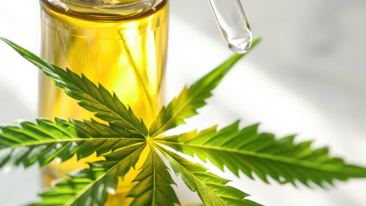 CBD olaj